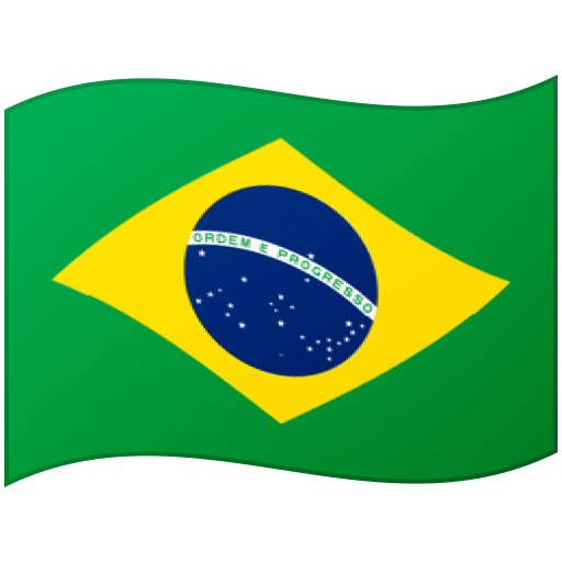 Brazil's Flag